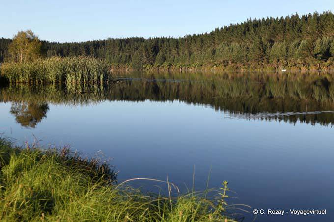 Lake Aniwhenua Panorama towards Galatea - New Zealand