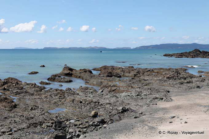 Lava tongue, Coromandel - New Zealand