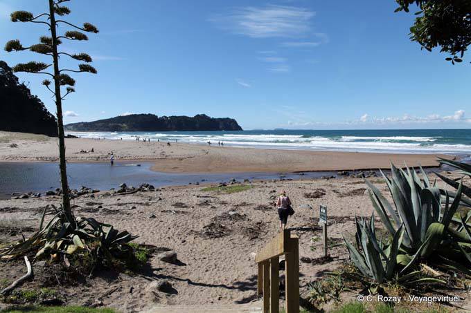 Hahei Hot Water Beach, Coromandel - New Zealand