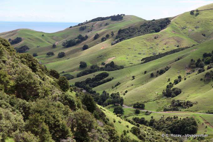 Landscape, Road since Thames, Coromandel - New Zealand