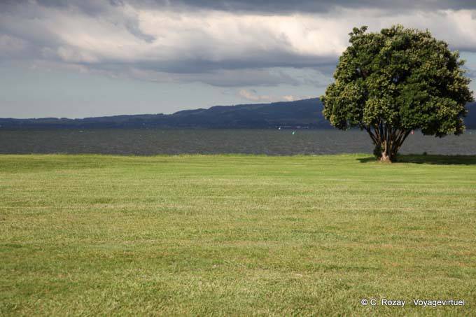 Colors, shores of Lake, Rotorua - New Zealand