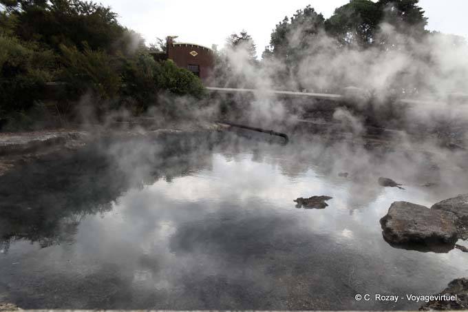 Government Gardens, Spring Rachel Whancapipiro, Rotorua - New Zealand