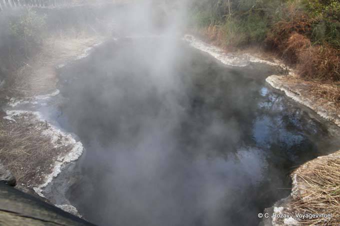 Hot water, Kuirau Park, Rotorua - New Zealand