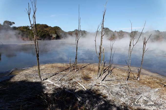 Volcanic desolation Kuirau Park, Rotorua - New Zealand