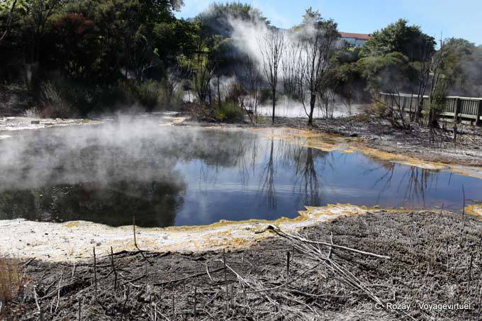 Geothermal activity, Kuirau Park, Rotorua - New Zealand