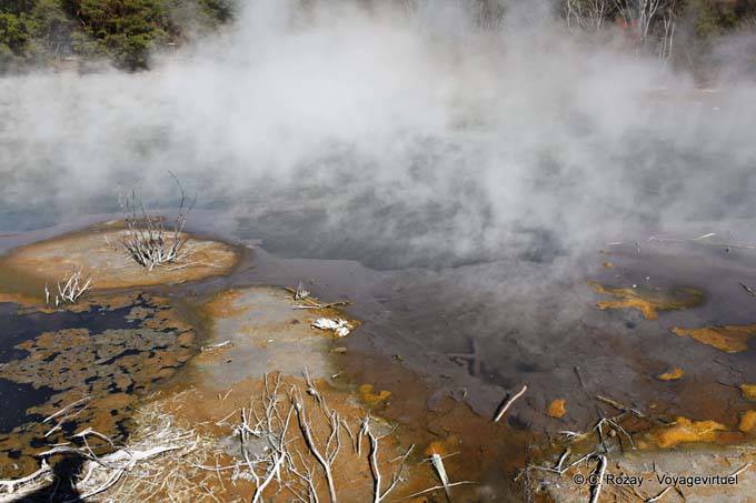 Earth breathing steam, Kuirau Park, Rotorua - New Zealand