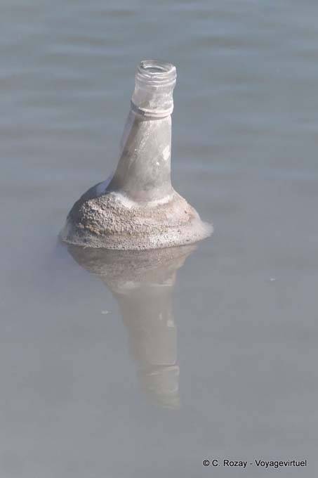 Bottle calcified Kuirau Park, Rotorua - New Zealand