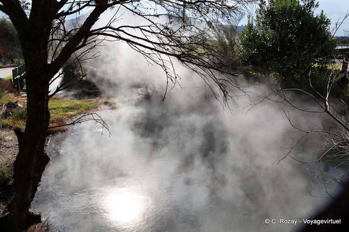 Fumaroles, Tamatekapua, Rotorua - New Zealand