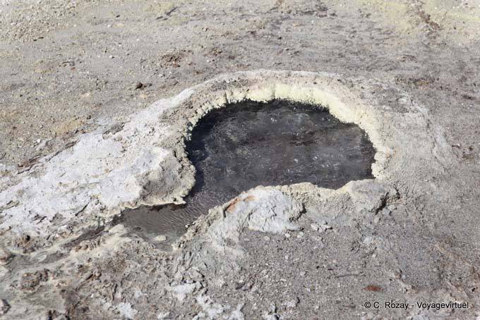 Mini boiling spring Sulphur Point, Volcanic Lake, Rotorua - New Zealand