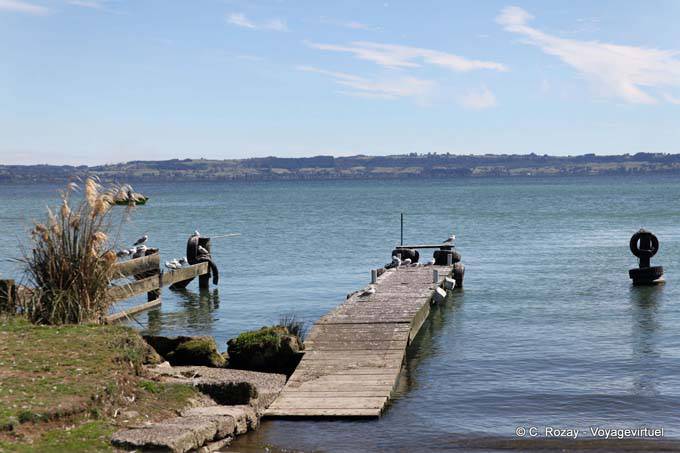Te Rotorua-nui-a-Kahumatamomoe (Maori) Volcanic Lake, Rotorua - New Zealand