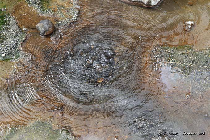Hot source and silica deposits, Waimangu Volcanic Valley, Rotorua - New Zealand
