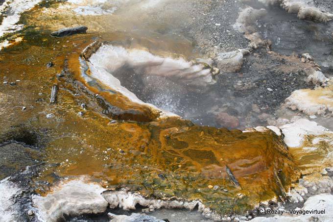 Hot spring, Waimangu Volcanic Valley, Rotorua - New Zealand