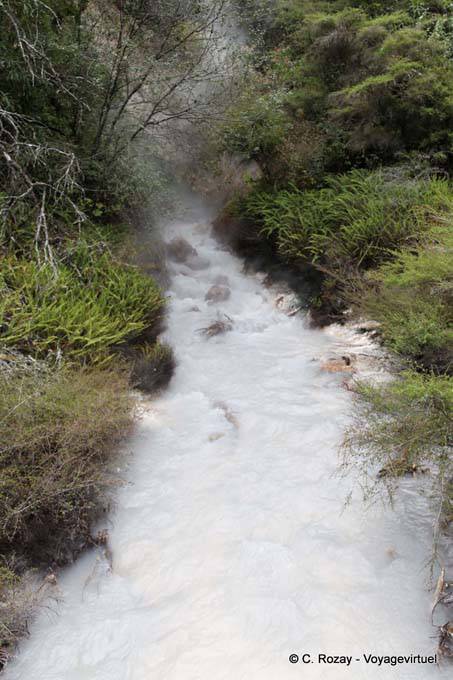 Acid stream from the Inferno, Waimangu Volcanic Valley, Rotorua - New Zealand
