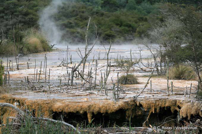 Marble Terrace, Waimangu Volcanic Valley, Rotorua - New Zealand