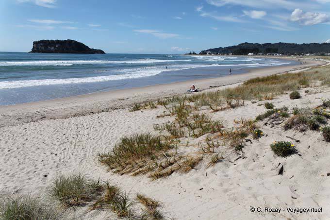 Panorama on Whangamata Beach Surf - New Zealand
