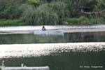 Midwater, Aniwhenua Lake Towards Galatea, New Zealand.