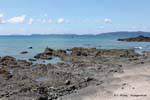 Lava tongue, Coromandel, New Zealand.