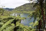 Green Lake, Rotorua, New Zealand.