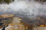 Earth breathing steam, Kuirau Park, Rotorua, New Zealand.