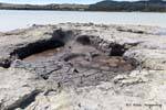 Sulphur Point, Volcanic Lake, Rotorua, New Zealand.