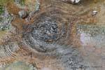 Hot source and silica deposits, Waimangu Volcanic Valley, Rotorua, New Zealand.
