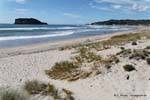 Panorama on Whangamata Beach Surf, New Zealand.