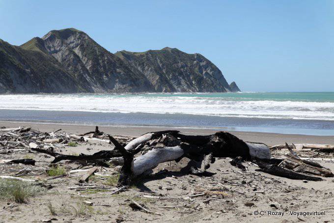 Beach and rough sea, Anaura Bay, East Cape - New Zealand