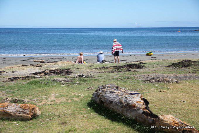 Bathers on the beach, Omaio, East Cape - New Zealand