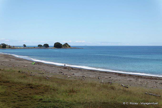 Bay of Plenty, near Te Kaha, East Cape - New Zealand