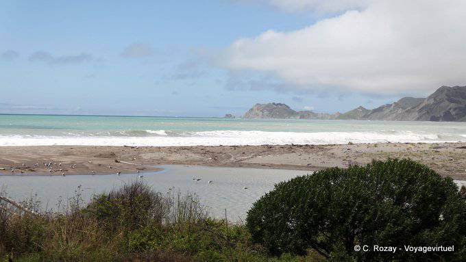 Nearly Mangahauini river, Tokomaru Bay, East Cape - New Zealand