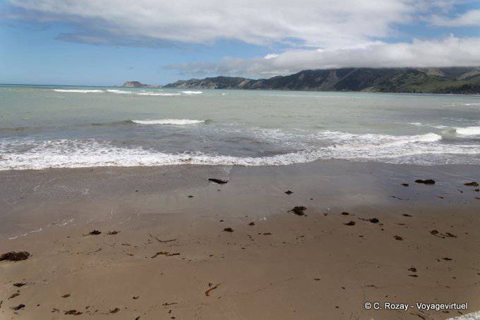 On the beach, Tokomaru Bay, East Cape - New Zealand