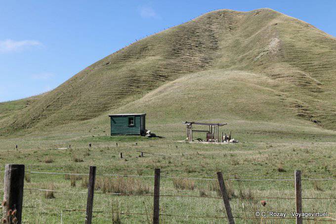 Strata hill, Tolaga Bay, East Cape - New Zealand