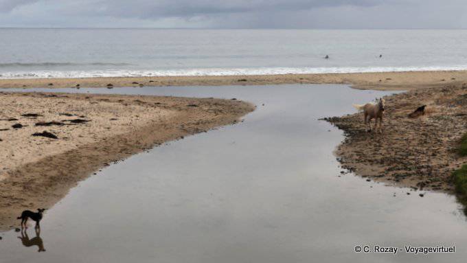 Te Rangiharu, Waihau Bay, East Cape - New Zealand