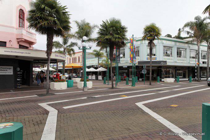 Palm trees and pedestrian street, Napier City Centre, East Coast - New Zealand