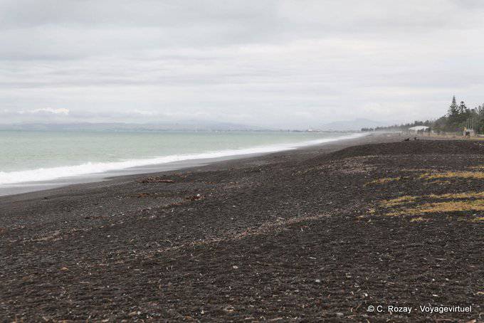 The Napier Beach, East Coast - New Zealand