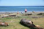 Bathers on the beach, Omaio, East Cape, New Zealand.