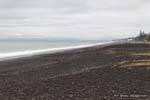 The Napier Beach, East Coast, New Zealand.