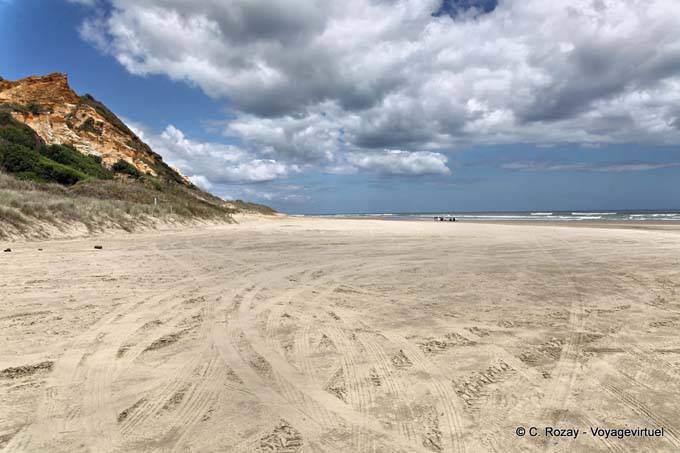 Immensity of the Baylys Beach, Northland - New Zealand
