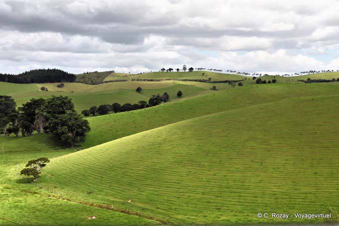 Landscape towards Matapouri, Northland Matapourri - New Zealand