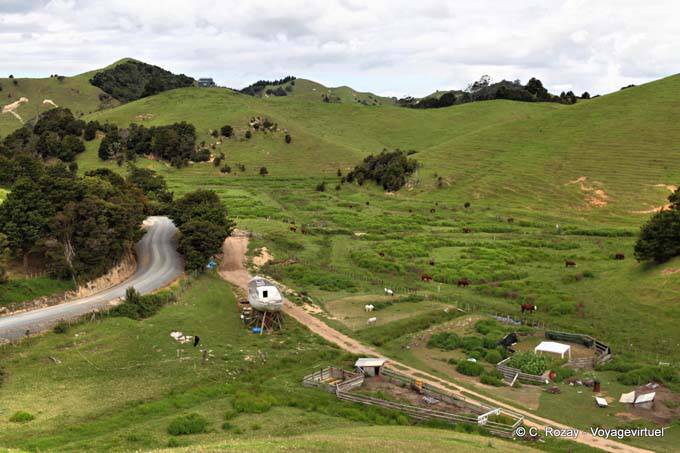 On the way to Tutukaka, Matapourri, Northland - New Zealand