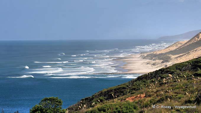 View from the Arai Te Uru recreation reserve, Hokianga Harbour, Oponomi, Northland - New Zealand
