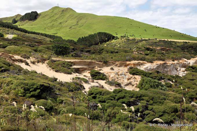 Arai Te Uru-recreation reserve Omapere, Hokianga Harbour Oponomi, Northland - New Zealand