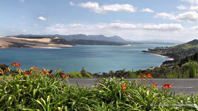 Ti Pikinga scenic reserve, Hokianga Harbour Oponomi, Northland - New Zealand