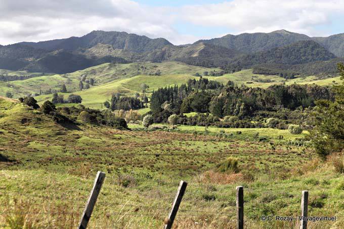 Road Oponomi Paihia, Northland - New Zealand