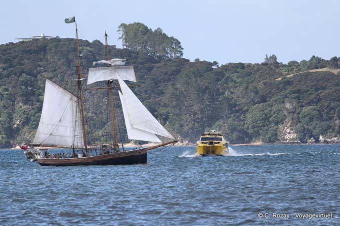 Sailboat against catamaran sailboat Paihia, Northland - New Zealand