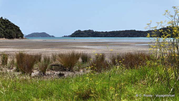 Bland Bay Road to Russell, Northland - New Zealand