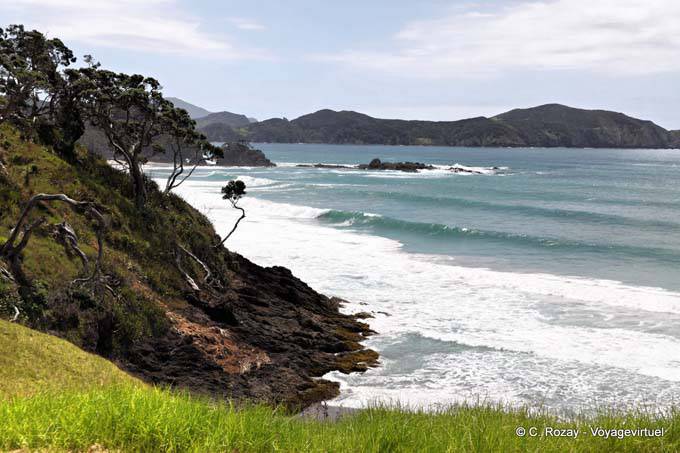 Eliott Bay, Bland Bay Road to Russell, Northland - New Zealand
