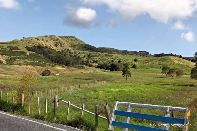 Landscape, Cape Rodney, Northland - New Zealand