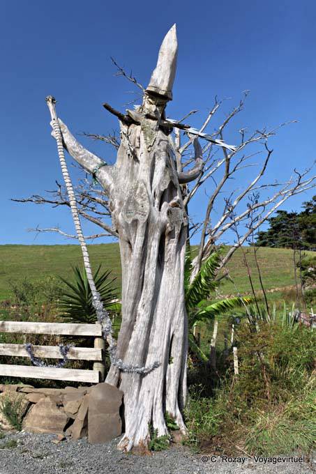Enchanted tree Cape Rodney, Northland - New Zealand