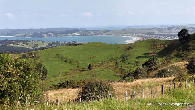 Landscape, Cape Rodney, Northland - New Zealand